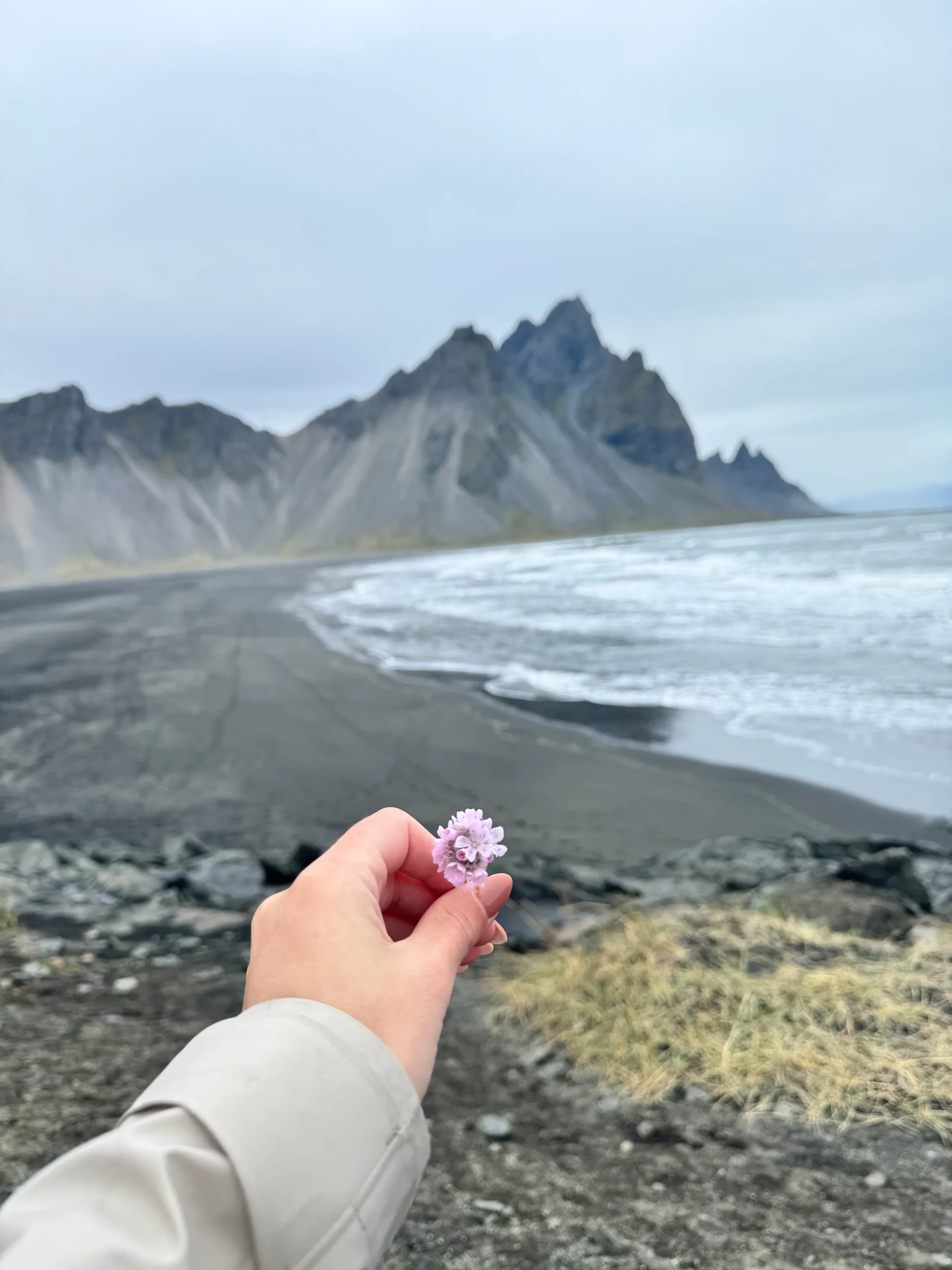 vestrahorn paysage