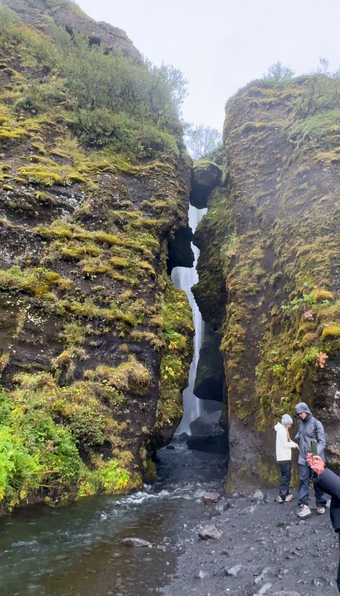 Gljúfrabúi Gljúfrabúi
